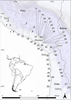 Two Sides of the Same Desert: Floristic Connectivity and Isolation Along the Hyperarid Coast and Precordillera in Peru and Chile